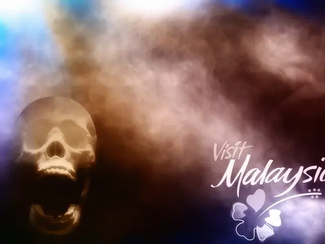 Brain Injuries and Seizures: Link Established