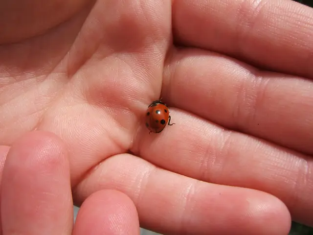 Fahr's Condition Explained: An Overview