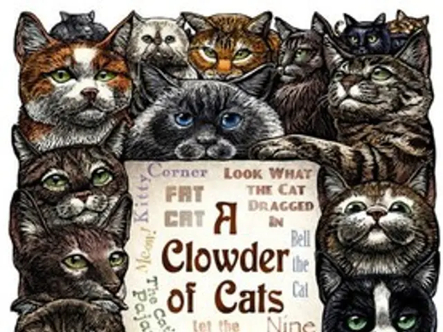 First Occurrence of a More Severe Mpox Variant Detected in the United States; Key Information...