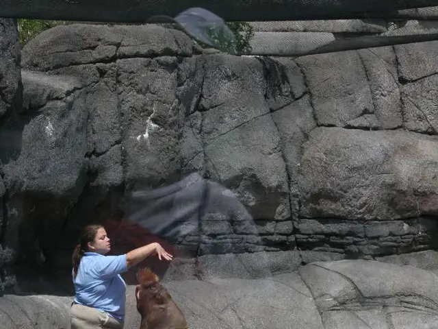 Woman, Traumatized by Past, Finds Herself Back at SEAL's Spiritual Retreat After Reuniting with...