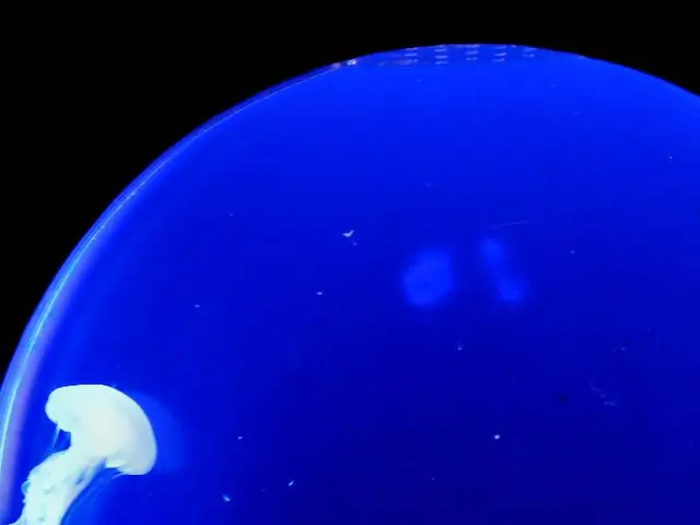 Discover the Species Surviving Up to 11,000 years of Existence