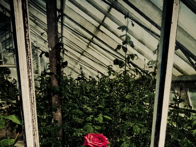 A dazzling biological display that has been approximately 300 million years in development