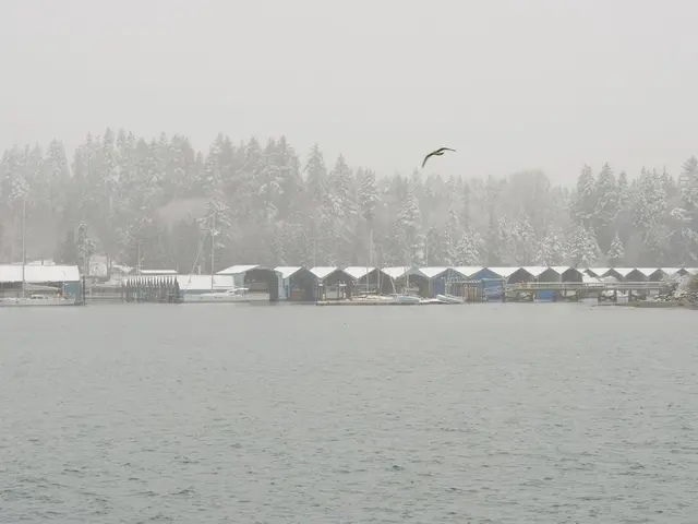 In this picture there is a bird flying in the air and there is water below it and there are trees...