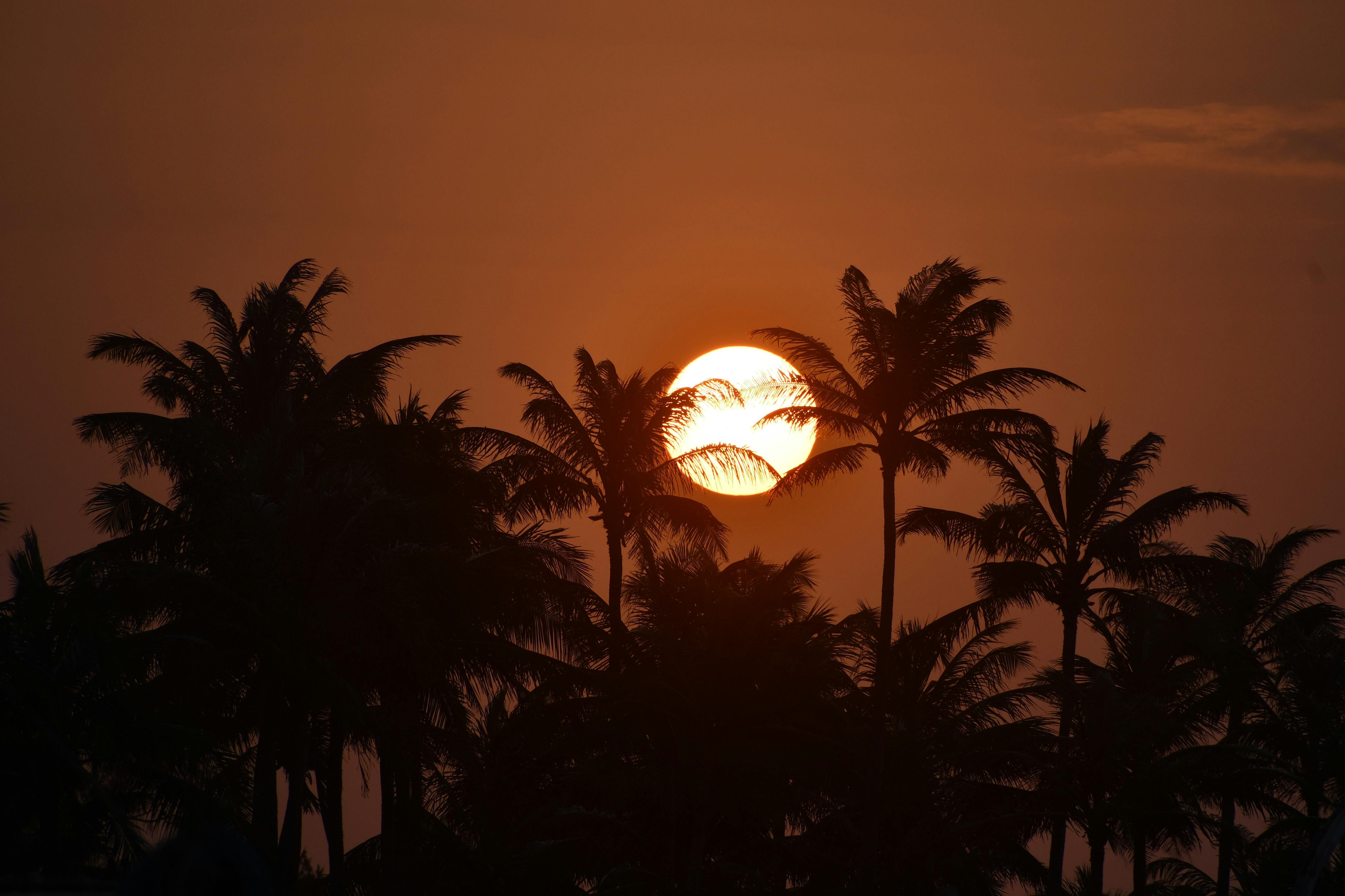 Regularly incorporating both strength and cardio workouts delivers optimal results when it comes to...