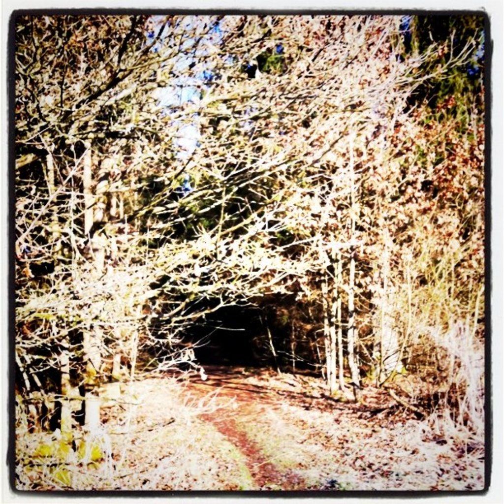 Settlement by Wellpath After Prior $7 Million Payment by Alameda County Due to Monk's Death, Nearly...