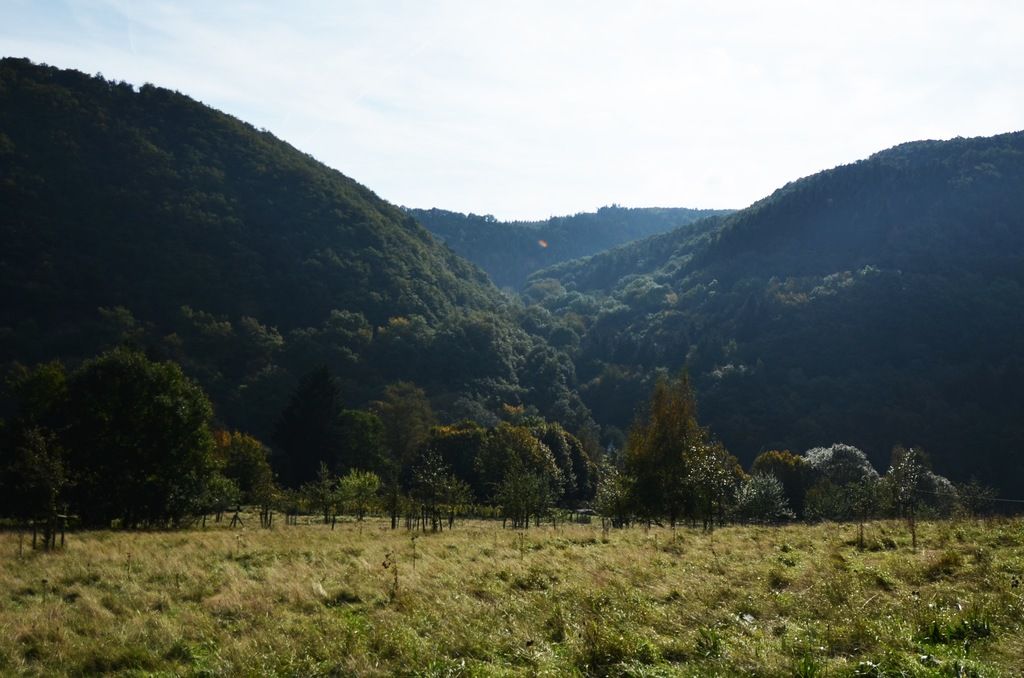 Speech impediment, often referred to as stuttering, afflicts countless individuals globally. If you...